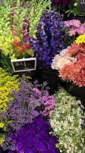 Anna holmes is the owner of flowers by anna in cataumet, ma. Flowers By Anna Home Facebook