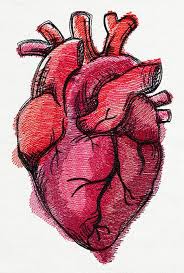 Like What You See Follow Me For More Sandrushka21 Heart Cuore Anatomico Disegno Cuore Idee Per Tatuaggi