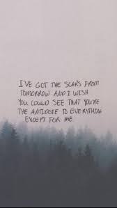 My Songs Know What You Did In The Dark Light Em Up Fall Out Boy Lyrics Fall Out Boy Quotes Fall Out Boy