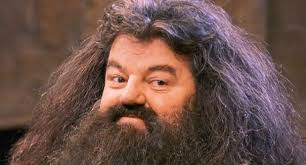 Image result for images of robbie coltrane as hagrid