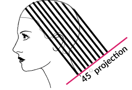 Short layer haircut for women/haircut short layers 90 degree of beginners/old lady short haircut business inquiry Http Www Educationsinhair Com Wp Content Uploads 2019 08 Frameworkhomestudy1 Pdf