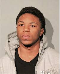 ᐅ Illinois Criminal Records 2009-2025