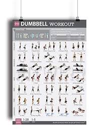 Fitwirr Dumbbell Workout Poster For Women 19x27 Exercise