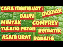 Cara membuat minyak kelapa murni bisa menjadi sebuah ketrampilan yang menjanjikan. Cara Membuat Minyak Daun Comfrey Untuk Patah Tulang Retak Asam Urat Rematik Memar Keseleo Youtube