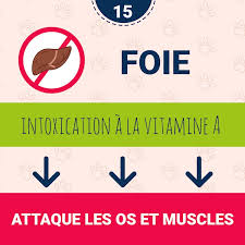 Puis Je Donner Du Foie A Mon Chien Maladies Et Prevention Chien Santevet