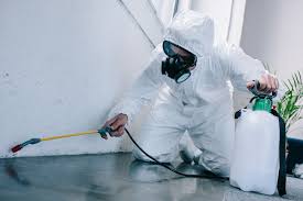 It is best to intime pest control services in bangalore provide all types of pest control services from rondent intime services. 7 Tips To Find The Best Local Pest Control Companies In Jackson Synergy