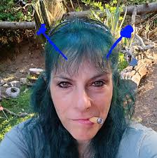 A local dozer operator (Paula and Sons dozer E2085) and two local engine  companies (CAL FIRE Lassen Modoc engines E2271 and E2251) installed over  16,000 feet of hose yesterday. This group of