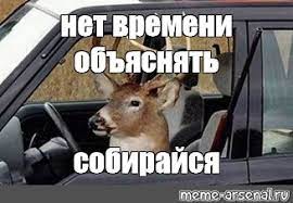 images?q=tbn:ANd9GcT1OyGixN6WJ6Ht_sn-PAJ