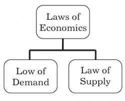 Laws Of Economics Demand Supply Definition Type In 2020 Economics Law Of Demand Managerial Economics