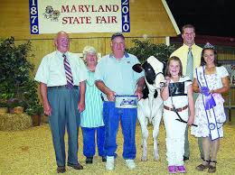 4-H Dairy Breed Winners Named at Maryland State Fair