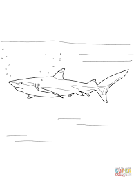 Blacktip Reef Shark Shark Coloring Pages Coloring Pages Reef Shark