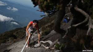 In a statement issued today, the department said the earthquake epicentre at 6.0 north and 116.7 east and four kilometres northwest of ranau had created tremors in. Malaysia Official Blames Nude Tourists For Deadly Quake Bbc News