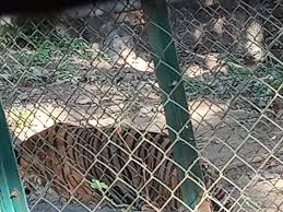 Reviews for Sanjay Gandhi National Park ...