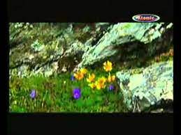 Mircea rusu band — bocet pentru maica mare 04:12. Mircea Rusu Band Iarba Verde De Acasa Youtube