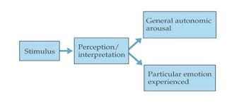 Theories Of Emotion Boundless Psychology