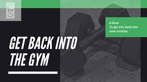get back in the gym workout program