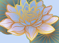 iRest Yoga Nidra