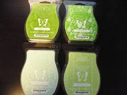 Unlike most other cacti, christmas cactus prefers more moisture and less sunlight. This Lot Includes 4 New Scentsy Bars Aloe Water Cucumber Aloe Water Cucumber Peel Palm Frond And Pineapple Nectar A Scentsy Bars Scentsy Cucumber Peels