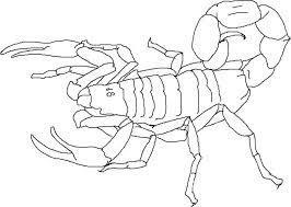 You can learn more about this in our help section. Free Printable Scorpion Coloring Pages For Kids Animal Coloring Pages Coloring Pages For Kids Coloring Pages