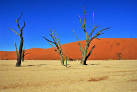The land god made in anger The Coastal Desert Which Defines The Country Of Namibia Review Of Namib Desert Sossusvlei Namibia Tripadvisor