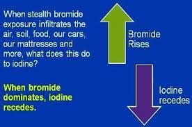 The Bromide Dominance Theory