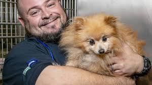 Miami-Dade animal shelter is overpopulated, says adopt now