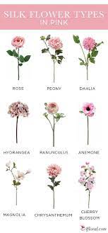 Pin On Types Of Flowers
