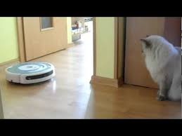 Lady Jane Meets Irobot Roomba Music Cheeck To Check