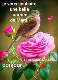 images?q=tbn:ANd9GcT1PDvTJLEdullWLM8VXxtZ3OAyWZKwTlwFjJksJace_w&s