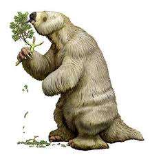 Study Of Megatherium The Biggest South American Ground Sloth Carl Buell Ground Sloth Extinct Animals Prehistoric Animals