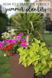 Maybe you would like to learn more about one of these? Tutorial How To Plant Flowers In A Pot Life On Virginia Street