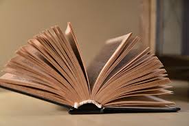 Estás en el camino correcto! Oraciones Con Palabra Magico Brainly Lat