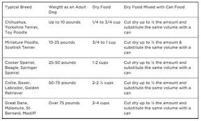 Dog Feeding Tips How Much And How Often Should I Feed My