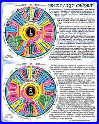 Iridology Diagnosis Chart And Learning Guide Etsy Iridology Chart Iridology Reflexology Chart