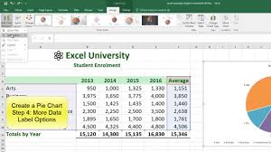 Excel Example Student Enrollment Pie Chart