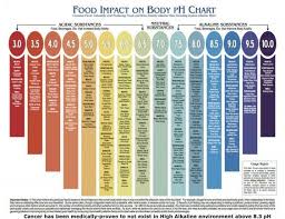 Food Impact On Body Ph Chart Food In 2019 Ph Food Chart