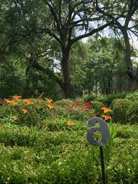 Summer In Kilgore Means Blooms In The Shakespeare Garden And The Bard S Plays At Kilgore College Texas Highways Day Lilies Bard Bloom
