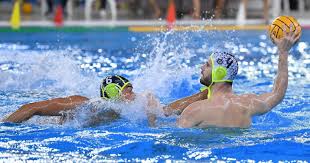 21,761 likes · 1,229 talking about this. Vince La Pro Recco Trieste Sconfitta 13 5 Nell Ultima Del Girone Trieste News