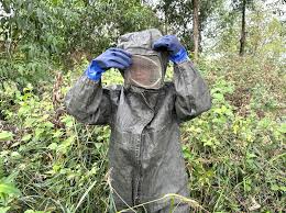 Nữ thợ săn băng rừng, vượt suối, chấp nhận nguy hiểm với nghề săn ong vò vẽ  để mưu sinh