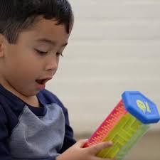 Amazon.com: Labyrinth Ball