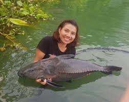 Voir les 265 avis sur gillhams fishing resorts. Krabi Fishing Resort Fishing In Thailand