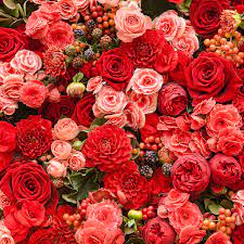 Der faszinierende duft dieses bouquets vervollkommnet seine schönheit und verströmt leidenschaft. Blumen Lippstadt Rote Rosen Strauss Haus Stallmeister In Lippstadt