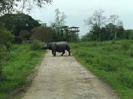 Meghalaya gained recognition as a new part of the province of assam and eastern bengal when bengal was partitioned on 16 october in the year 1905. Assam Meghalaya Trip Picture Of Discover Northeast Guwahati Tripadvisor