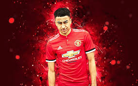 Tons of awesome lingard wallpapers to download for free. Lingard Wallpapers Wallpaper Cave