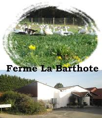 Some error detected we infomr the webmaster. Ferme La Barthote A Sainte Marie De Gosse Landes Atlantique Sud