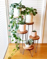Harper Hairpin Leg Plant Stand Metal Plant Stand Plant Stand Speaker Stand Side Table Indoor Plant Stand Small Table In 2020 Plant Decor Indoor House Plants Decor Metal Plant Stand