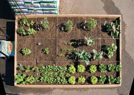 Let's start out with a short video on growing bush beans in a vertical tower system, then go into the wide and varied world of all beans. Raised Bed And Container Gardening Guide Chuck Hafner S Syracuse