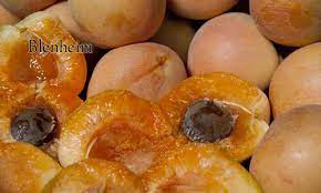 I've had dried blenheim apricots and they have that tang i really like. Blenheim Apricot Trees Louie S Nursery Riverside Ca