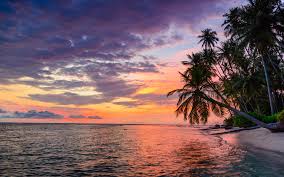 To get the desktop background. Indonesia Banyak Islands Sumatra Tropical Desert Beach Sunset Sky Sea Palm Trees Photo Landscape 4k Ultra Hd Wallpaper For Desktop Laptop Wallpapers13 Com