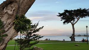 We did not find results for: Lovers Point Park Beach